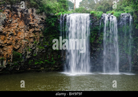 DORRIGO, New South Wales, Australien – die Dangar Falls fallen über einen felsigen Steilhang in der Nähe der Stadt Dorrigo. Der Wasserfall, der sich entlang des malerischen Waterfall Way im nördlichen Zentrum von New South Wales befindet, taucht in einen natürlichen Pool ein, der von üppiger Vegetation umgeben ist. Stockfoto