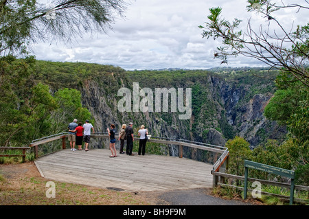 WOLLOMOMBI, New South Wales, Australien – Ein malerischer Aussichtspunkt bietet einen Blick auf die dramatischen Wollombi Falls im Oxley Wild Rivers National Park. Die Wasserfälle, die zu den höchsten Australiens gehören, stürzen sich in eine zerklüftete Schlucht entlang der landschaftlich reizvollen Route des Waterfall Way im nördlichen Zentrum von New South Wales. Stockfoto