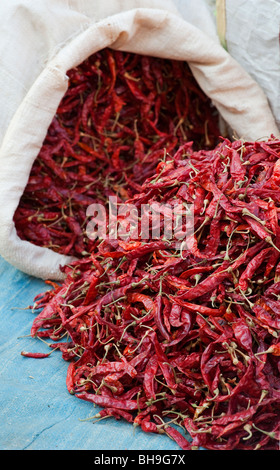 Rote Chilis in und aus einem Sack an einem indischen Markt getrocknet. Andhra Pradesh, Indien Stockfoto