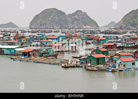 Schwimmende vietnamesischen Dorf von Van Gia in Cat Ba Island Bucht, Nord-Vietnam. Cat Ba Insel ist ein Nationalpark in Halong Bucht. Stockfoto