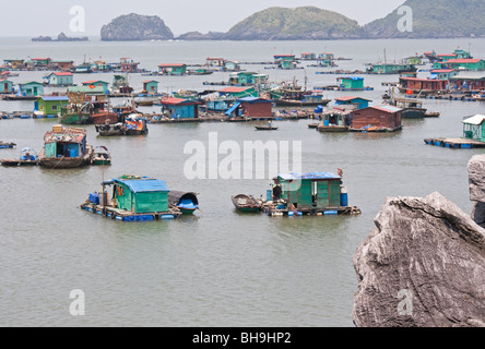 Schwimmende vietnamesischen Dorf von Van Gia in Cat Ba Island Bucht, Nord-Vietnam. Cat Ba Insel ist ein Nationalpark in Halong Bucht. Stockfoto