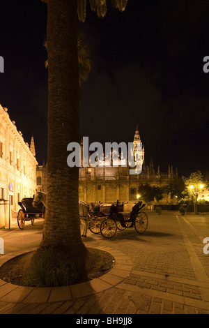 Pferdekutsche Kutschen in der Nacht vor der Kathedrale von Sevilla und La Giralda Turm, Andalusien, Spanien Stockfoto