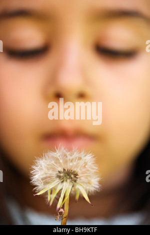 Mädchen bläst Löwenzahn Stockfoto