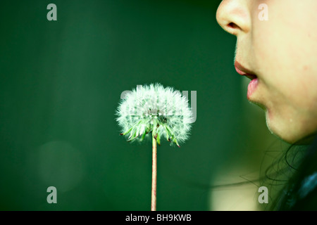 Mädchen bläst Löwenzahn Stockfoto