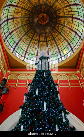 SYDNEY, Australien - Sydney, Australien - Große, mehrstöckige Weihnachtsbaum in Sydney's Queen Victoria Building Einkaufspassage, mit dem gewölbten, Glasfenster Overhead Stockfoto
