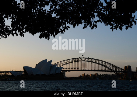 Sydney Opera House und Harbour Bridge Silhouette Sydney Australien // SYDNEY, Australien – das berühmte Sydney Opera House und die Sydney Harbour Bridge sind von Bäumen eingerahmt, von Mrs. Macquarie's Point aus gesehen. Dieser beliebte Aussichtspunkt in den Royal Botanic Gardens bietet eine der meistfotografierten Perspektiven auf Sydneys weltberühmte Wahrzeichen. Das vom dänischen Architekten Jørn Utzon entworfene und 1973 fertiggestellte Opernhaus gehört zum UNESCO-Weltkulturerbe und ist für seine markanten segelförmigen Muscheln bekannt. Die 1932 eröffnete Sydney Harbour Bridge ist eine der Wo Stockfoto