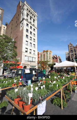 Bauernmarkt am Union Square in Manhattan Stockfoto