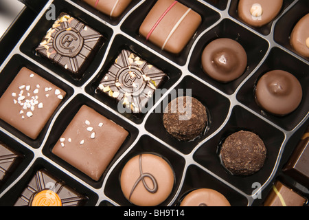Luxus Hotel Chocolat handgemachte Pralinen in Großbritannien (eine Auswahl) Übersicht der HC logo Stempel Stockfoto