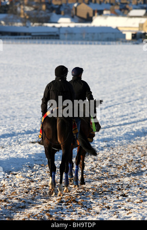 RENNPFERDE AUF NEWMARKET GALOPPADEN IM SCHNEE Stockfoto