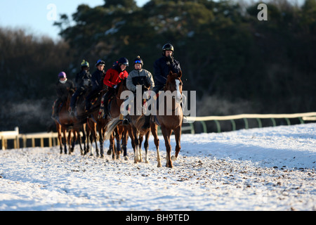 RENNPFERDE AUF NEWMARKET GALOPPADEN IM SCHNEE Stockfoto