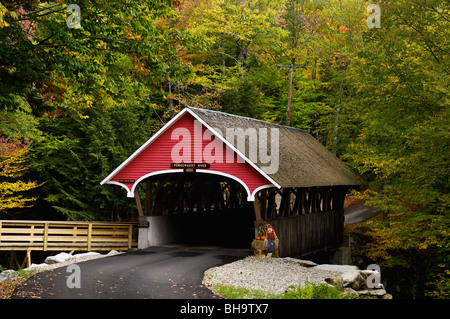 Flume Brücke und Herbst Farbe im Franconia Notch State Park in Grafton County, New Hampshire Stockfoto