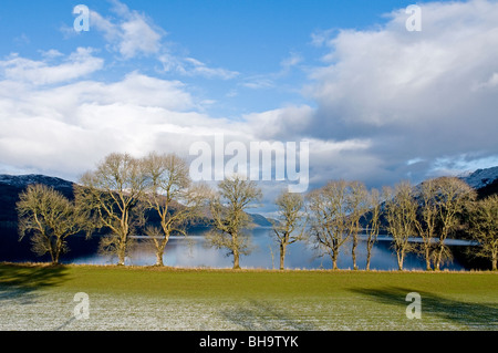 Die Süd-West-Ufer des Loch Ness in Fort Augustus, Inverness-Shire schottischen Highlands SCO 6046 Stockfoto