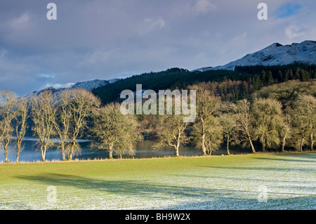 Die Süd-West-Ufer des Loch Ness in Fort Augustus, Inverness-Shire schottischen Highlands SCO 6048 Stockfoto