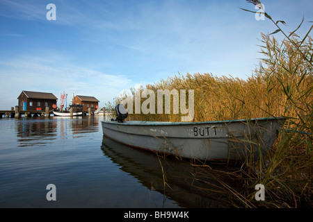 Motorboote in Gager Hafen, Insel Rügen, Mecklenburg-Western Pomerania, Deutschland Stockfoto