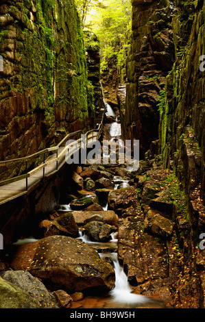 Flume Gorge im Franconia Notch State Park in Grafton County, New Hampshire Stockfoto
