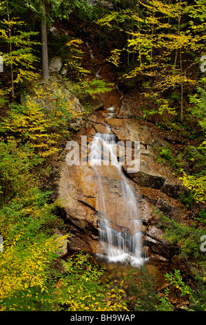 Herbst-Farbe bei Liberty Schlucht Kaskade im Franconia Notch State Park in Grafton County, New Hampshire Stockfoto