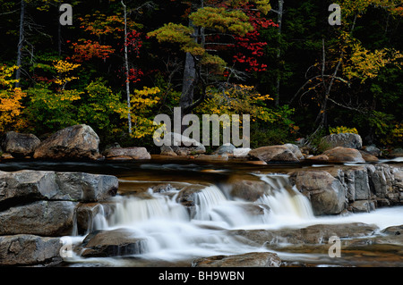 Herbst-Farbe am unteren fällt auf den Swift River in den White Mountain National Forest im Carroll County, New Hampshire Stockfoto