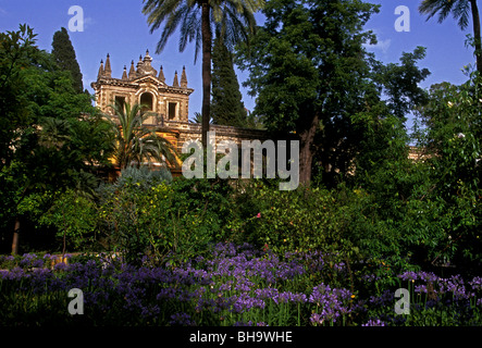 Gärten von El Alcazar Sevilla Provinz Sevilla Spanien Europa Stockfoto