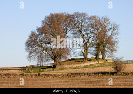 Windmühle Tump Dolmen, Rodmarton Stockfoto