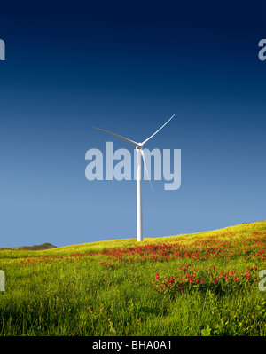 Schöne grüne Wiese mit einer Windkraftanlage zur Stromerzeugung Stockfoto