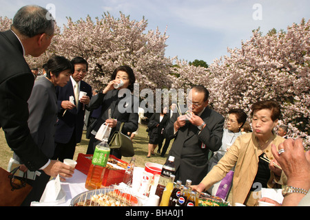 Gäste auf der "Sakura Hanami" (Blume Kirschblütenschau) Garten Party veranstaltet von Ministerpräsident Junichiro Koizumi, Tokio Stockfoto