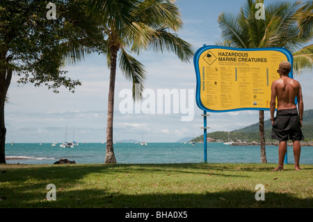 Touristen auf der Suche um gefährliche marine Kreatur Warnung am Airlie Beach in Queensland Stockfoto