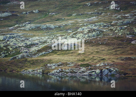 Grimselpass im Sommer - Kanton Wallis, Schweiz Stockfoto