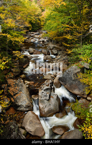 Herbst-Farbe bei Liberty Schlucht Kaskade im Franconia Notch State Park in Grafton County, New Hampshire Stockfoto