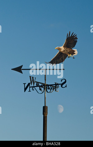 Das Grab der Adler St. Margarets Hoffnung, Orkney SCO 5901 Stockfoto