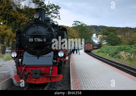 Die Dampfmaschine Rasender Roland, Rügen, Mecklenburg-Western Pomerania, Deutschland Stockfoto