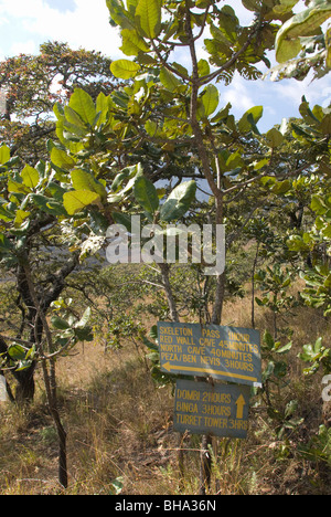 Die Chimanimani National Park ist einer der südlichen Afrika zuletzt verwöhnte Wildnis Standorte für Wanderer Stockfoto