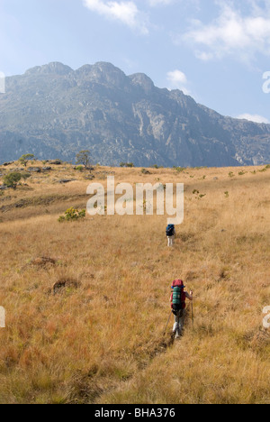 Die Chimanimani National Park ist einer der südlichen Afrika zuletzt verwöhnte Wildnis Standorte für Wanderer Stockfoto