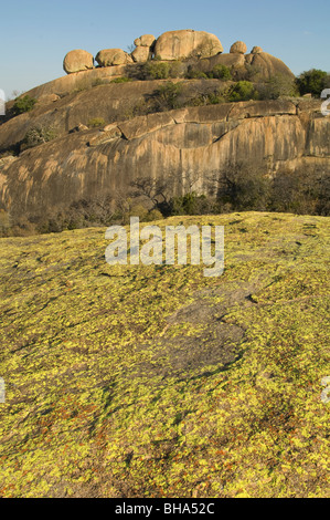 Die majestätische Pracht des Nationalparks Simbabwes Rhodos Matopos Stockfoto