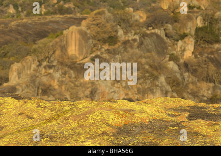 Die majestätische Pracht des Nationalparks Simbabwes Rhodos Matopos Stockfoto