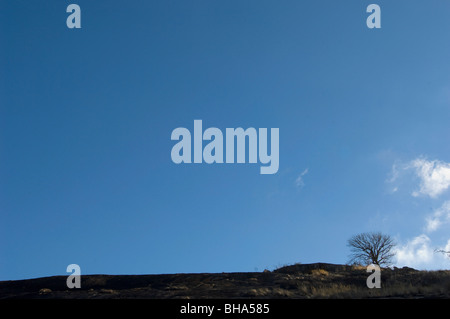 Die majestätische Pracht des Nationalparks Simbabwes Rhodos Matopos Stockfoto