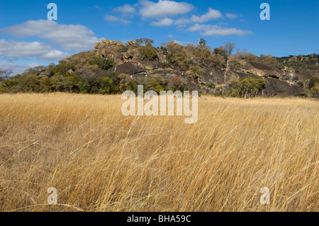 Die majestätische Pracht des Nationalparks Simbabwes Rhodos Matopos Stockfoto