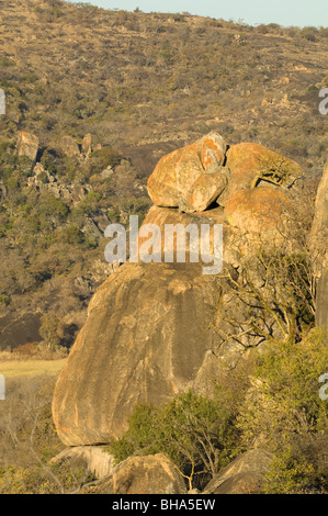 Die majestätische Pracht des Nationalparks Simbabwes Rhodos Matopos Stockfoto