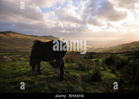 Geringer Sonneneinstrahlung Wolke zu durchbrechen und die Hügeln über dem Lake Windermere auf dem Kirkstone Pass in Cumbria auffällig. Stockfoto