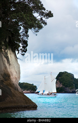 Segelboot im blauen Meer in Cathedral Cove Coromandel Halbinsel, Nordinsel, Neuseeland. Stockfoto