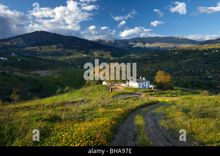 ein Haus auf dem Campo Nr. Los Molinos, Periana, Andalusien, Spanien Stockfoto