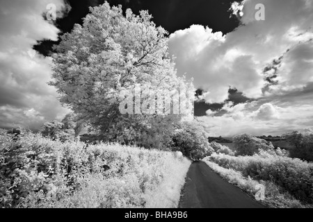 ein Feldweg, nr, Cerne, Dorset, England, UK Stockfoto