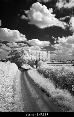 ein Feldweg, nr, Cerne, Dorset, England, UK Stockfoto