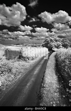 ein Feldweg, nr, Cerne, Dorset, England, UK Stockfoto