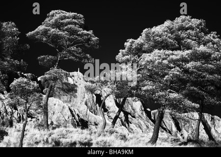 Montagne Ste Victoire, Bouches-du-Rhône, Provence, Frankreich Stockfoto