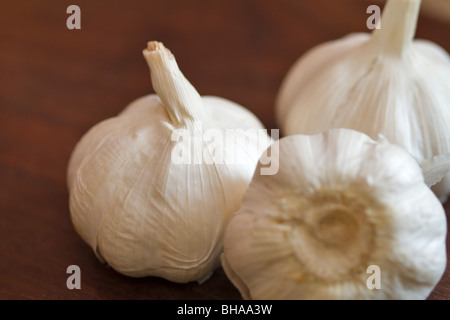 Ganze Knoblauchzwiebel Stockfoto