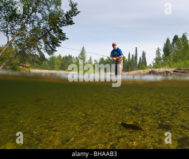 Unterwasser Perspektive ein Fliegenfischer Angeln auf Regenbogenforellen in Montana Creek, Yunan, Alaska Stockfoto