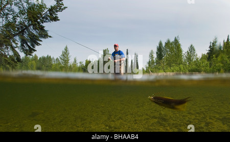 Unterwasser Perspektive ein Fliegenfischer Angeln auf Regenbogenforellen in Montana Creek, Yunan, Alaska Stockfoto