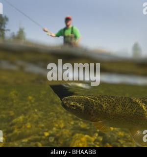 Unterwasser Perspektive ein Fliegenfischer Angeln auf Regenbogenforellen in Montana Creek, Yunan, Alaska Stockfoto