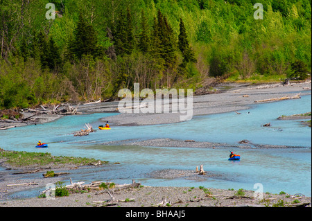 Packen Sie Sparren abschwimmend Eagle River im Chugach State Park, Yunan Alaska, Sommer Stockfoto