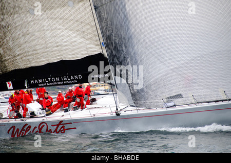 SYDNEY, Australien - Sydney, Australien - Super Maxi Yacht Wild Oats XI zu Beginn des Jahres 2009 Rolex Sydney Harbour Yacht Race im Hafen von Sydney. Wild Oats war Skipper Mark Richards und wurde 2. in der allgemeinen Linie ehren. Stockfoto